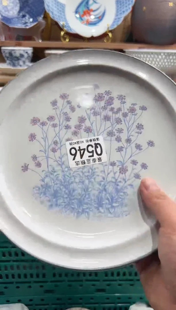 瓷片          Q546