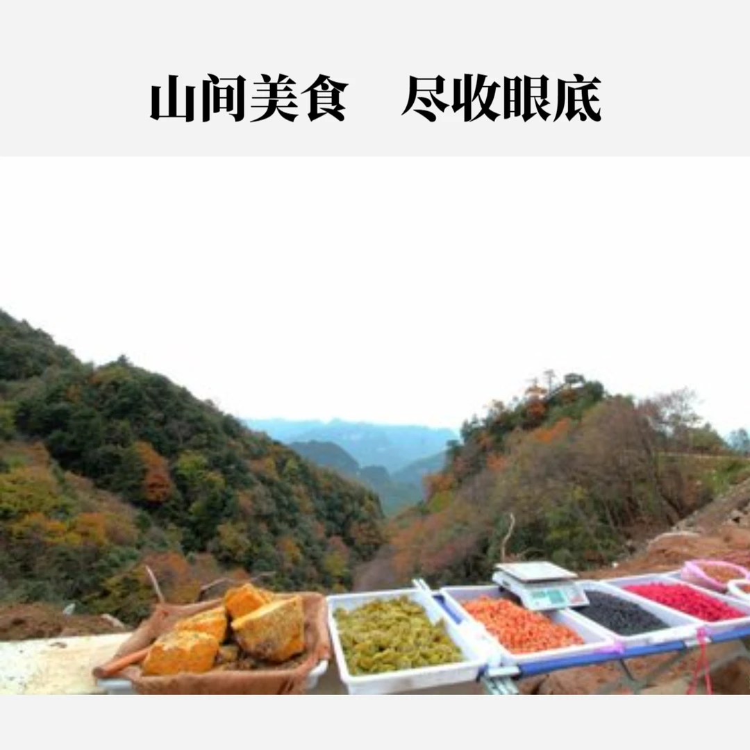 现货土特产-原产直供营养丰富（以直播为准）