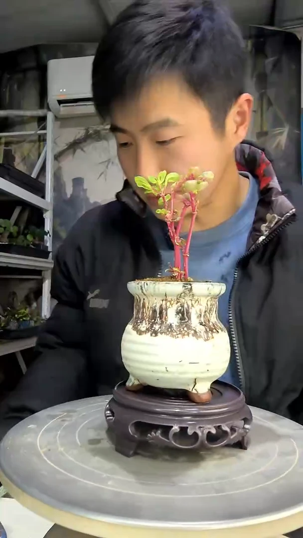 睿*中青园艺一物一拍花96