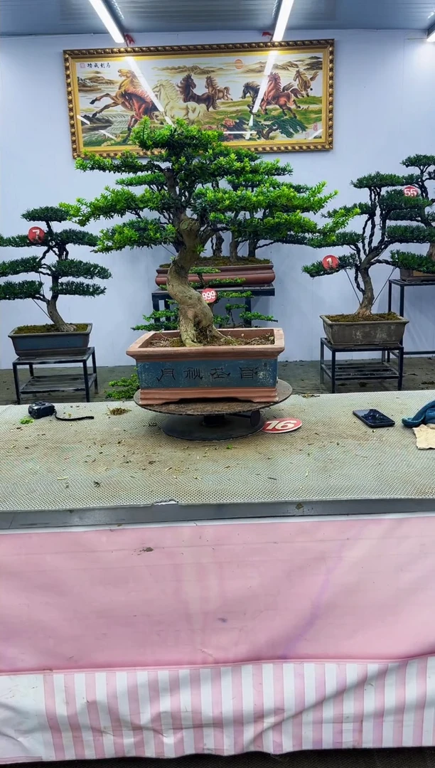 无花朵一物一拍，所见即所得