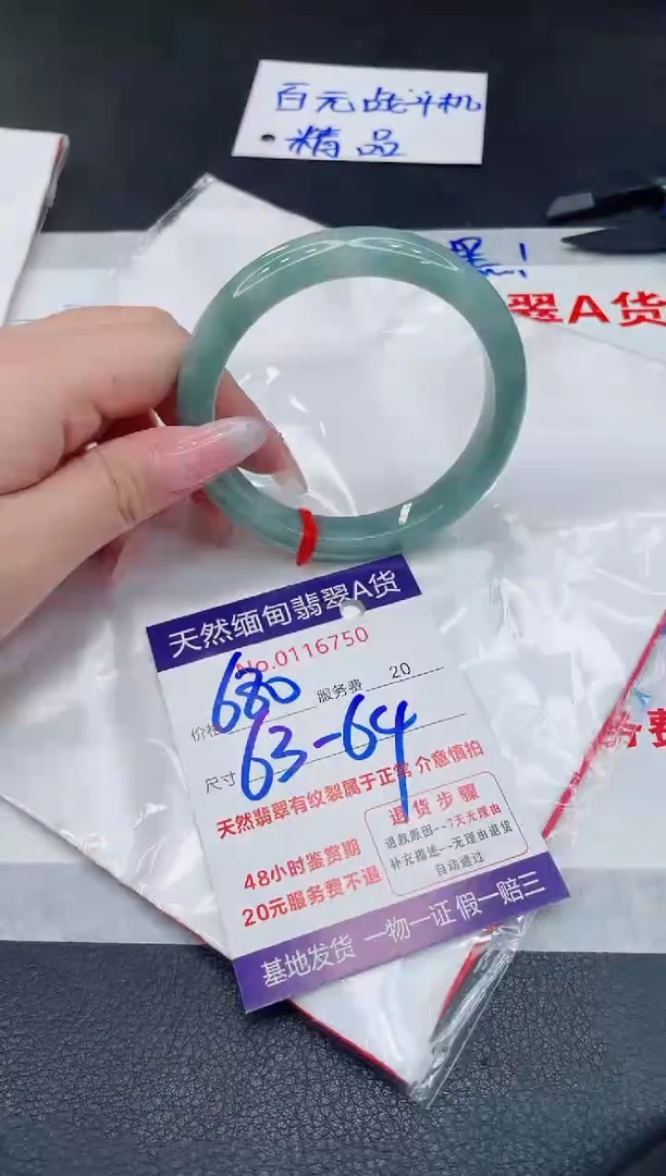 未镶嵌手镯翡翠680.00