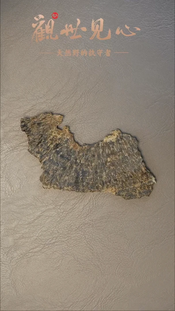 沉香沉香碎屑海南壳料  6.5g