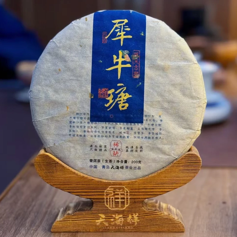 2023年帕沙犀牛塘挑采大古树头春生普