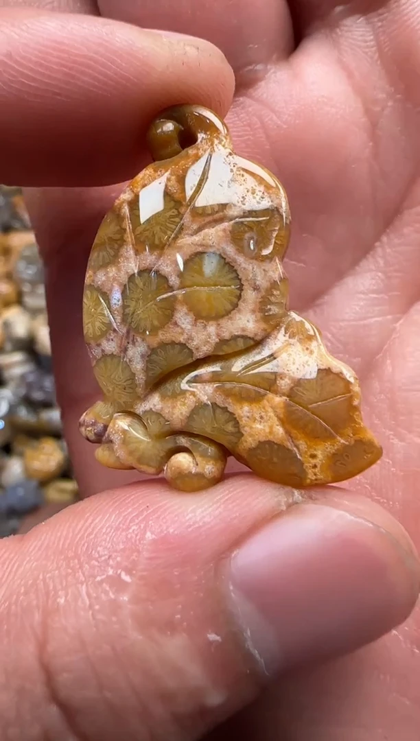 【闪购商品】硅化珊瑚（珊瑚玉）颈饰未镶嵌705