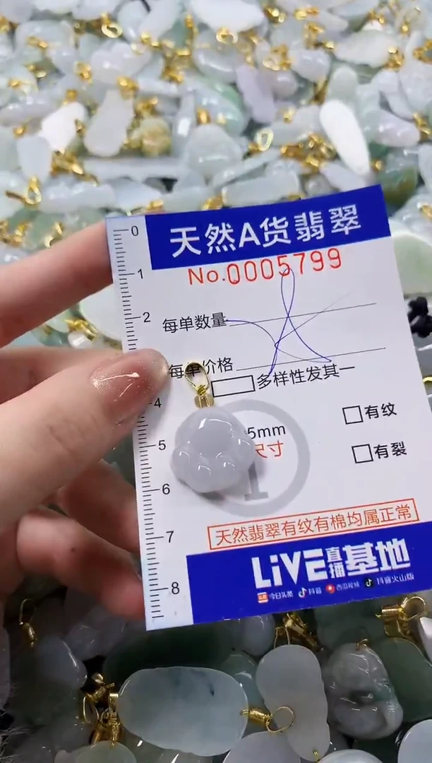 颈饰未镶嵌翡翠天然A货翡翠