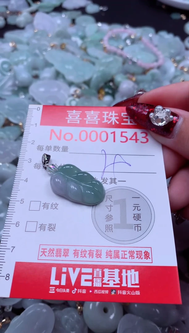 颈饰未镶嵌翡翠1543