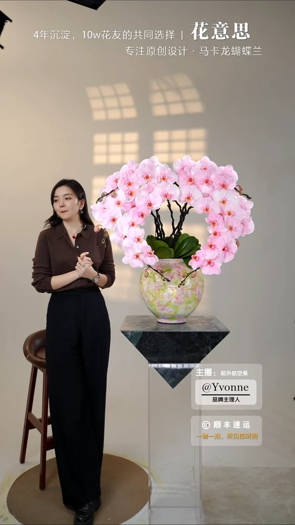 全部花朵066爱心一物一拍蝴蝶兰艺术盆景