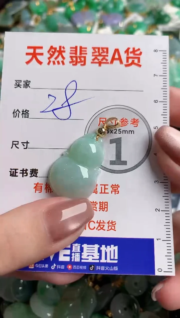 翡翠未镶嵌颈饰24001824