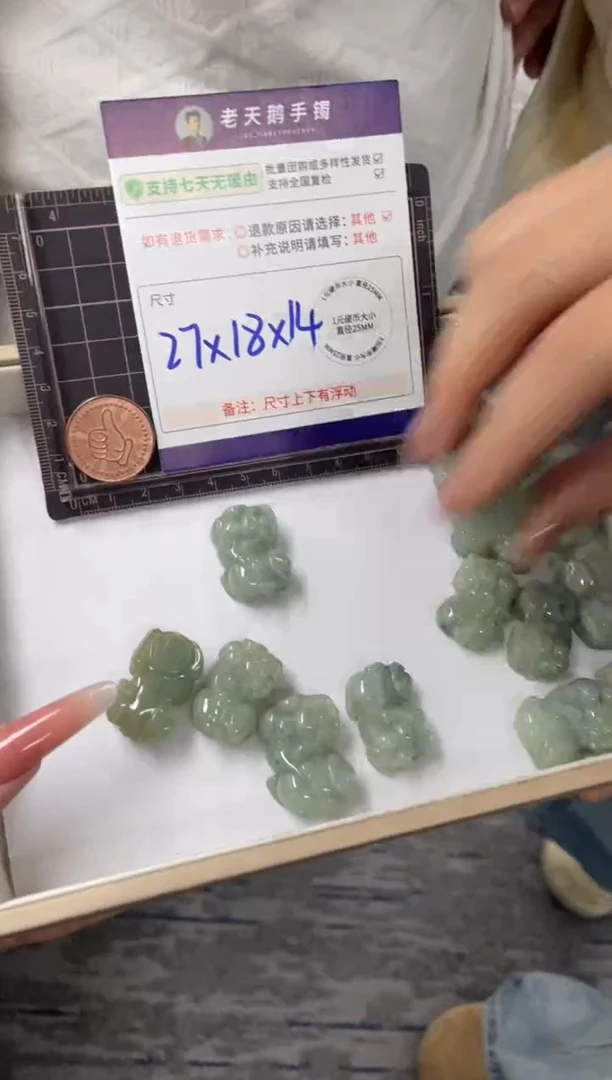 未镶嵌挂件翡翠翡翠貔貅FL5/多样性发其一CP配绳