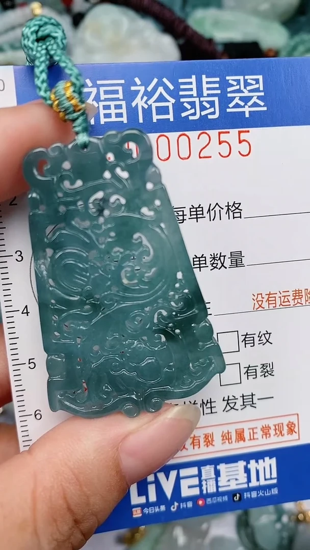 翡翠未镶嵌颈饰...0000255