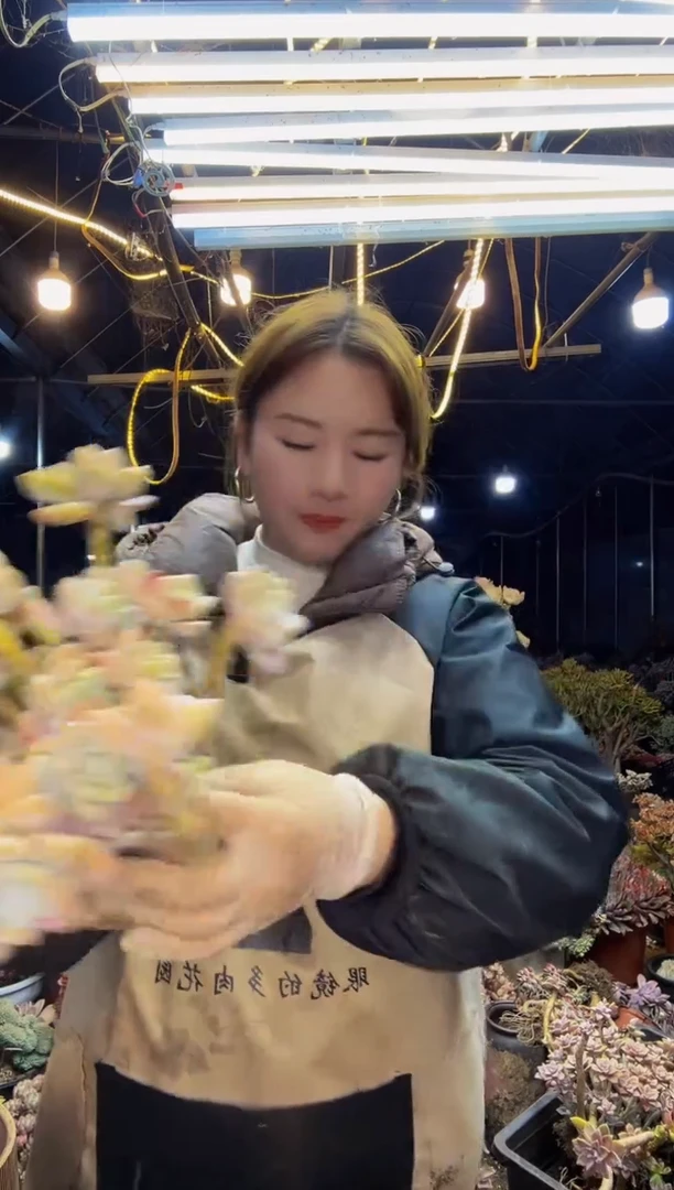 【闪购商品】44号一物一拍默认微瑕不售后