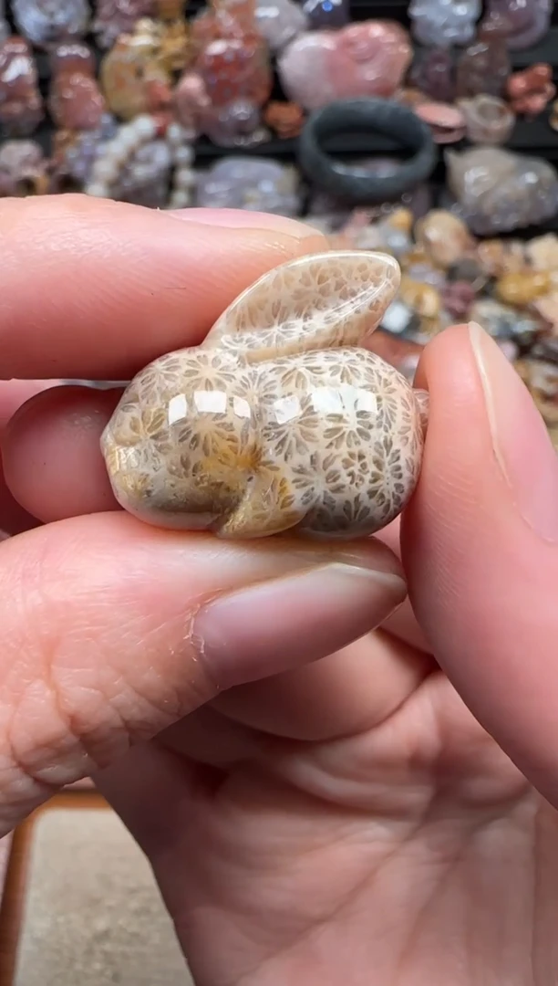 颈饰未镶嵌硅化珊瑚（珊瑚玉）273