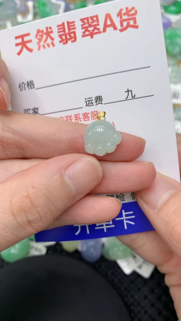 【闪购商品】翡翠颈饰18K金镶嵌11111111