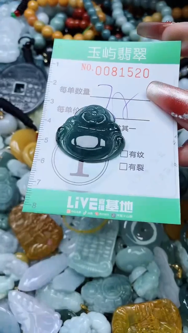 【闪购商品】翡翠颈饰未镶嵌闪购0081520
