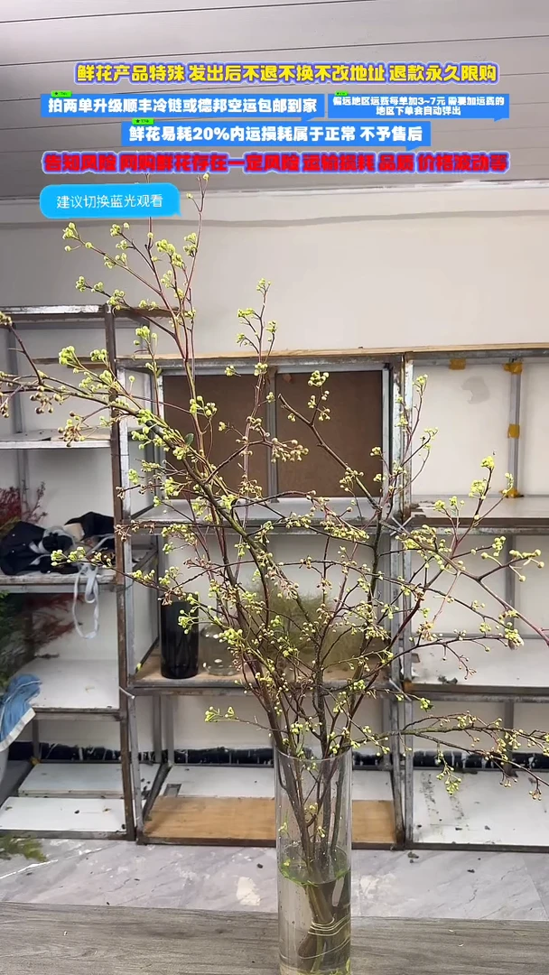小众花材.限时抢购1