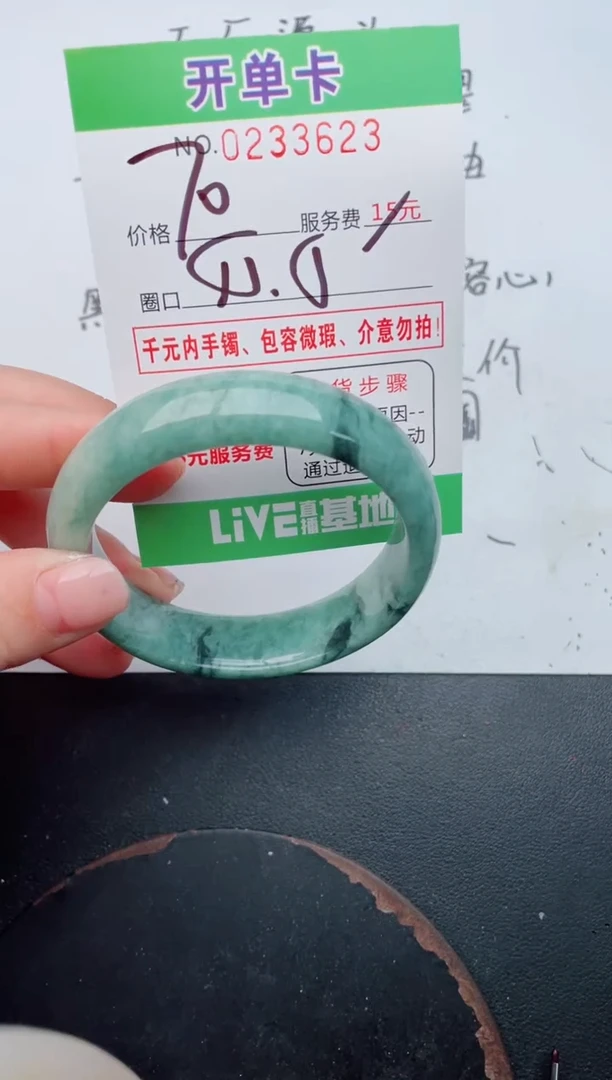 未镶嵌手镯翡翠23