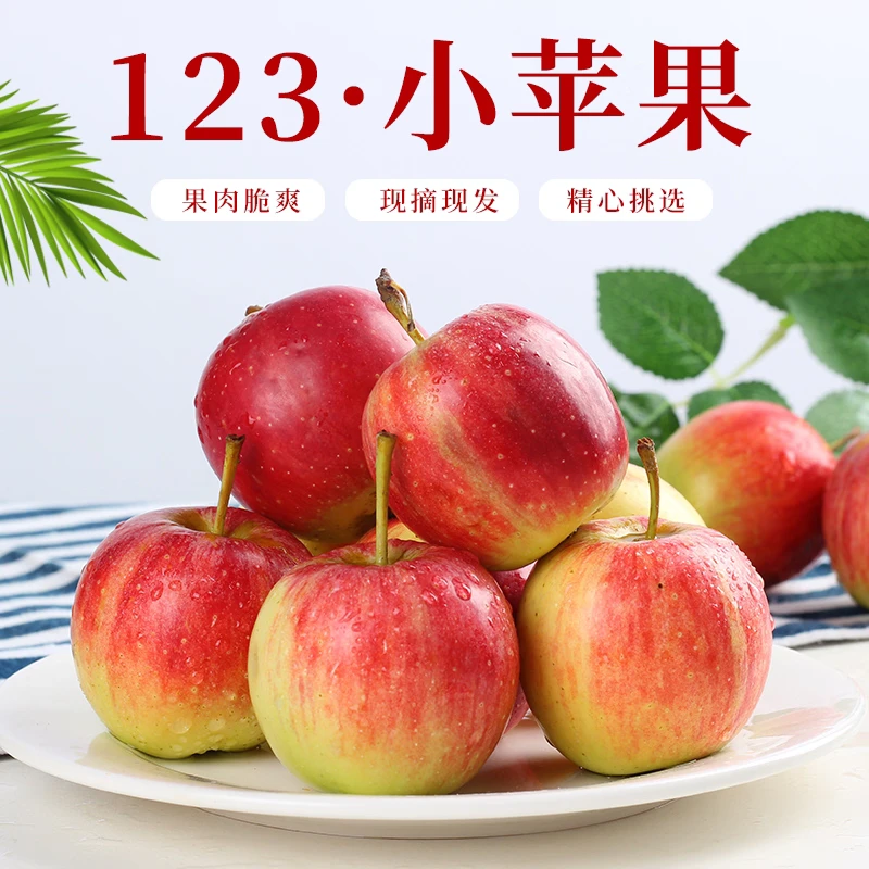 东北吉林123小苹果