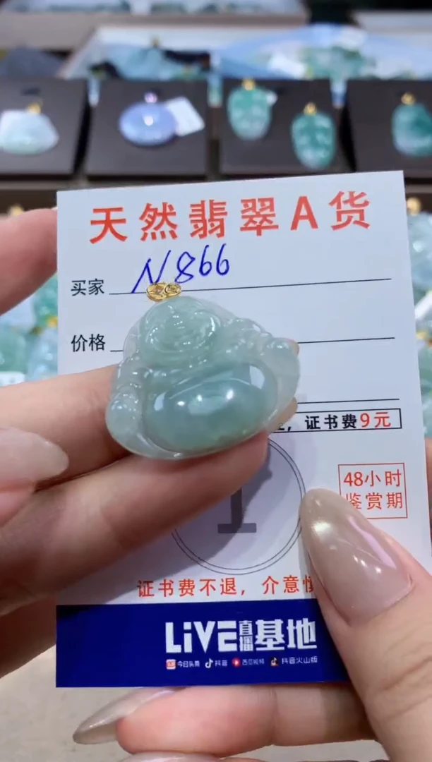 颈饰未镶嵌翡翠天然缅甸翡翠A货挂件