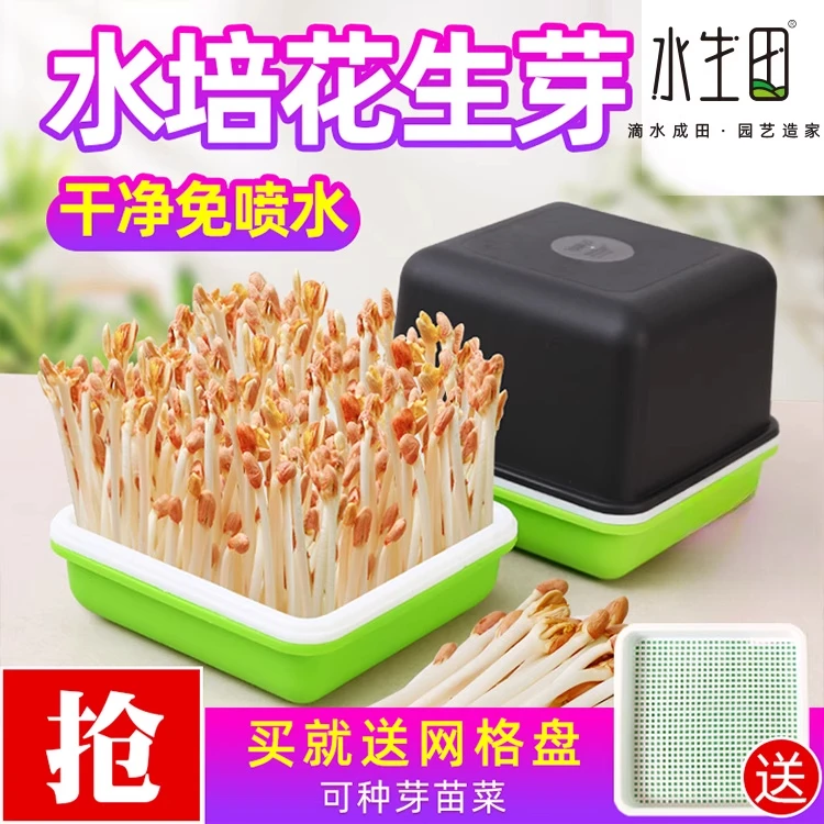 种花生芽水培箱种植盒发芽专用盘豆苗育苗盆种子籽机豆芽菜罐家用