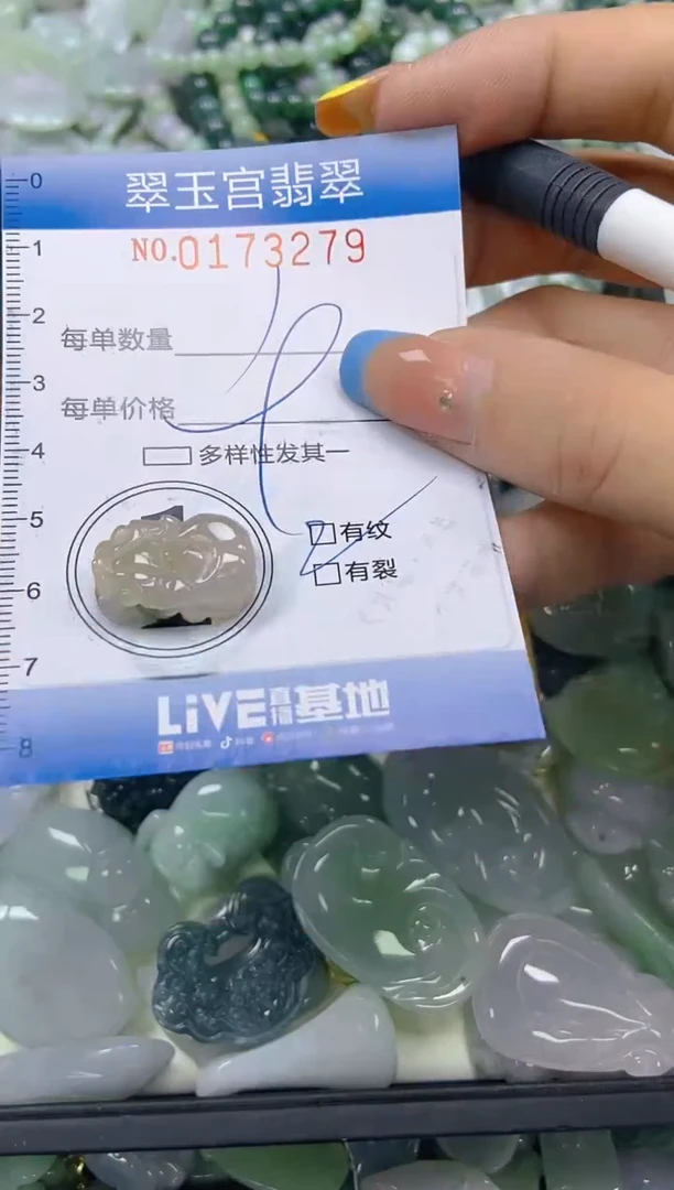 翡翠未镶嵌颈饰闪购0173279