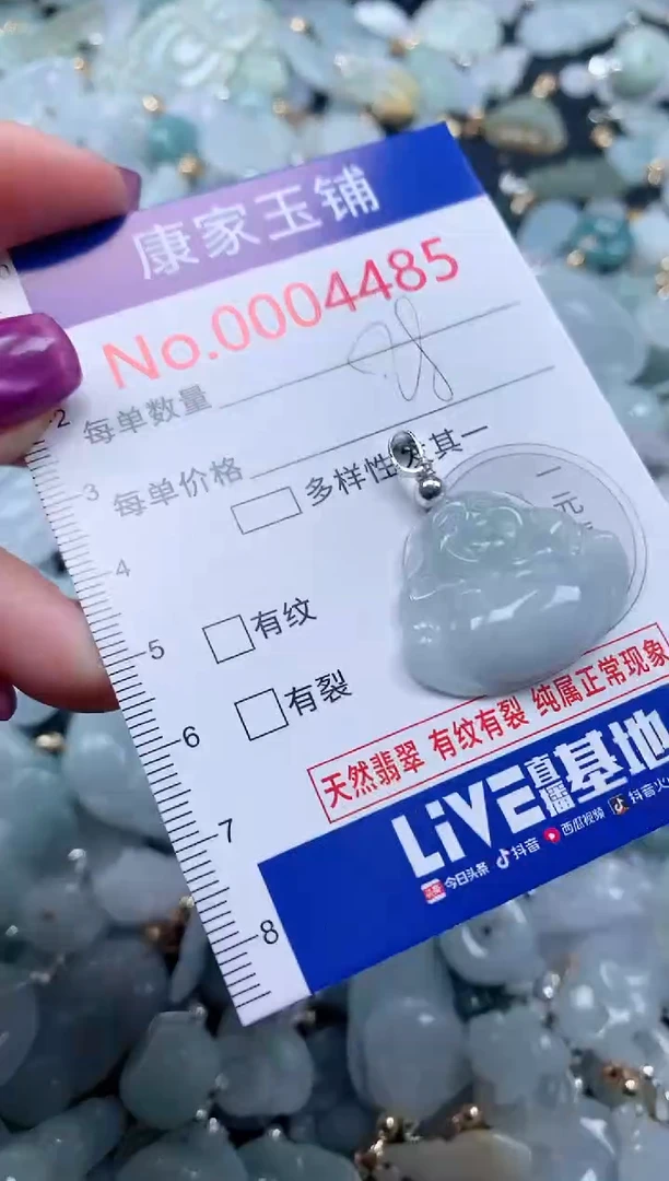 颈饰未镶嵌翡翠4485