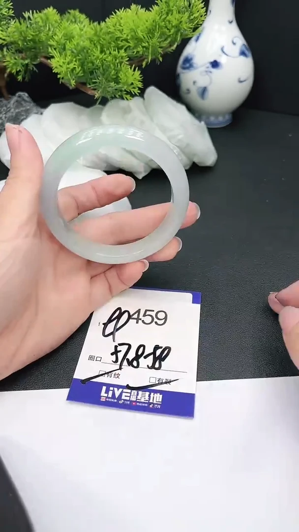 未镶嵌手镯翡翠459
