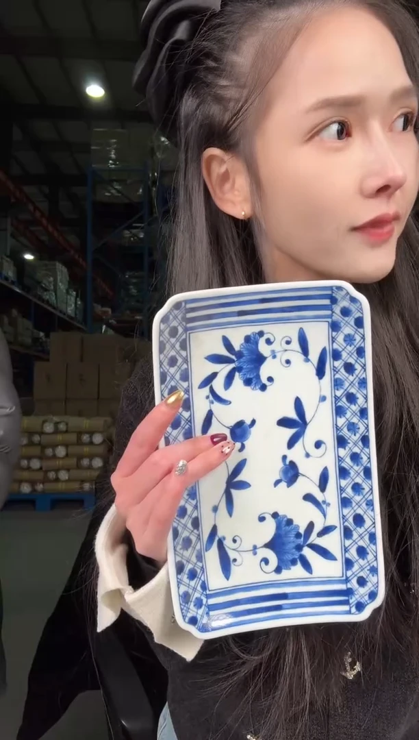 瓷片    DGORIYA