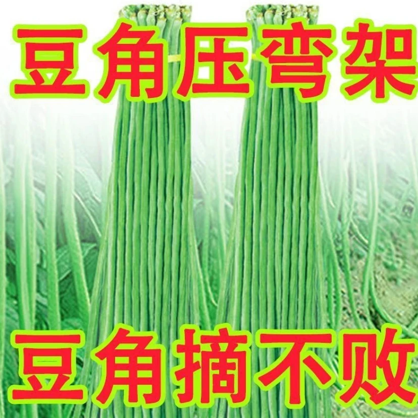 【长豆角豆种子】特长四季豆秋冬季春夏季豆角种籽大全蔬菜种子