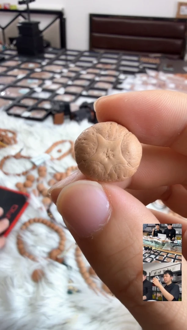 吊坠凤眼菩提4133 尼泊尔五星 18mm 黄金尺寸