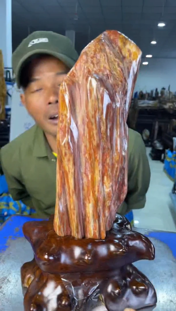 未镶嵌摆件硅化玉66