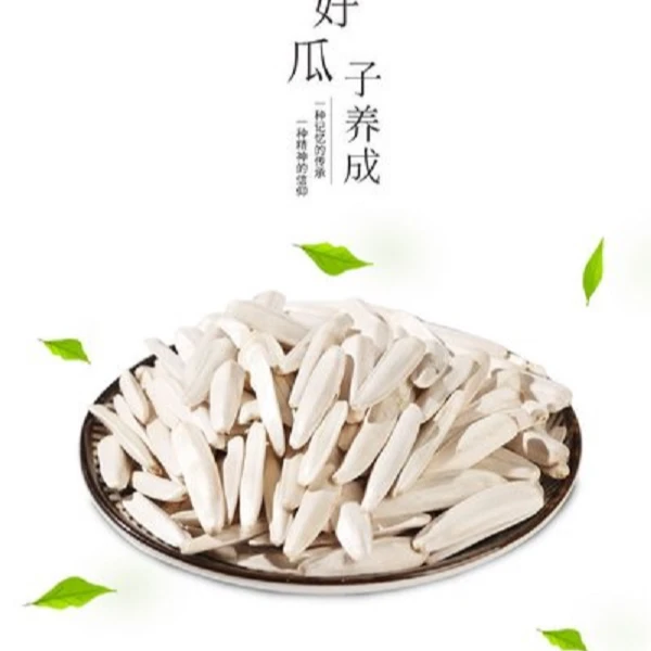 玺韵水果-牙签瓜子（1斤装）