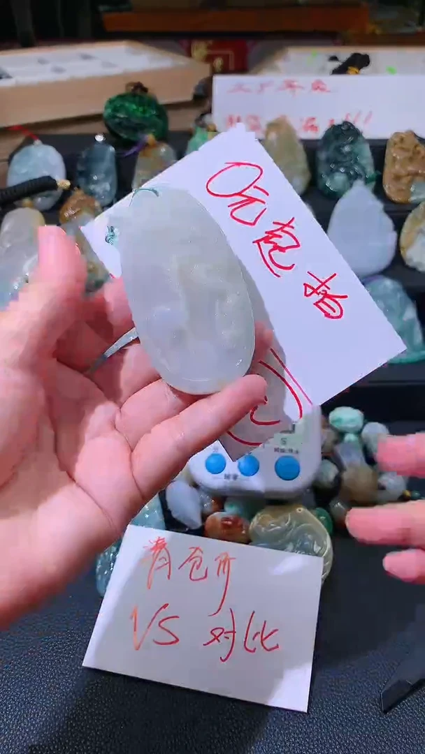 【闪购商品】翡翠颈饰未镶嵌挂件