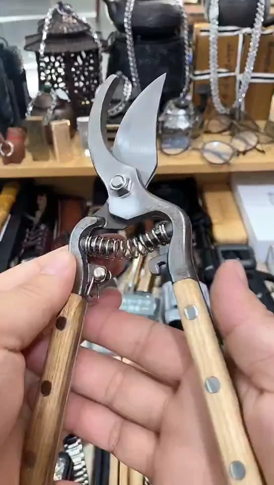 瓷片闪购商品  如图所示