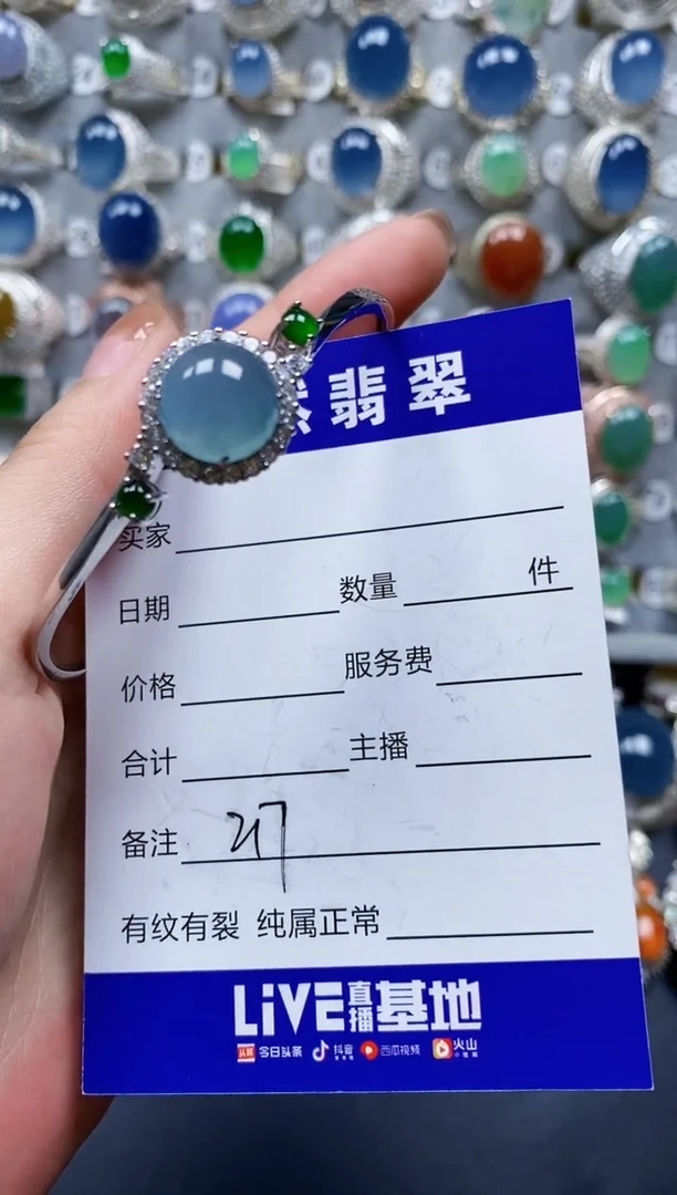 翡翠手镯银S925镶嵌0217