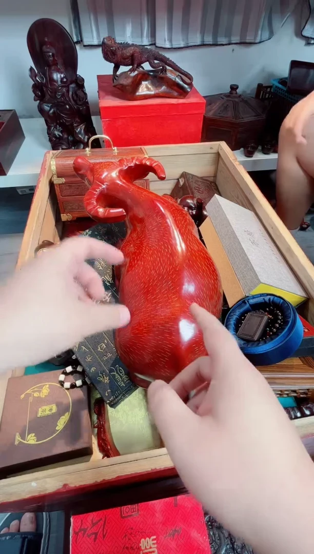 木大毛牛直播推荐直播推荐