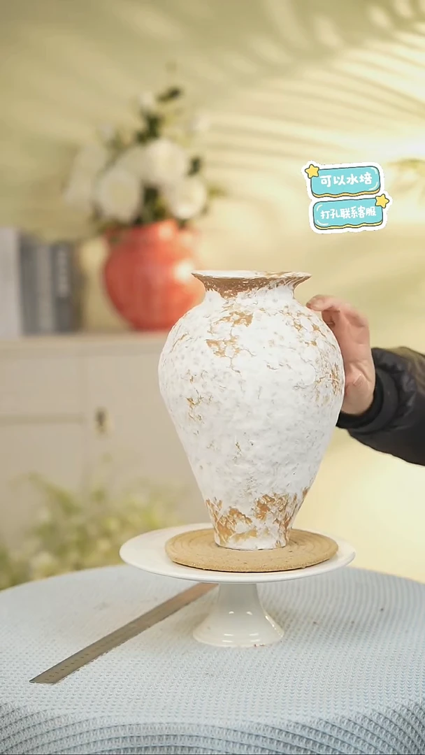 素雪景德镇高端陶瓷花瓶家居水培插花瓶
