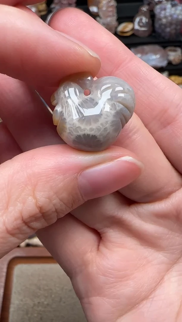 颈饰未镶嵌硅化珊瑚（珊瑚玉）248