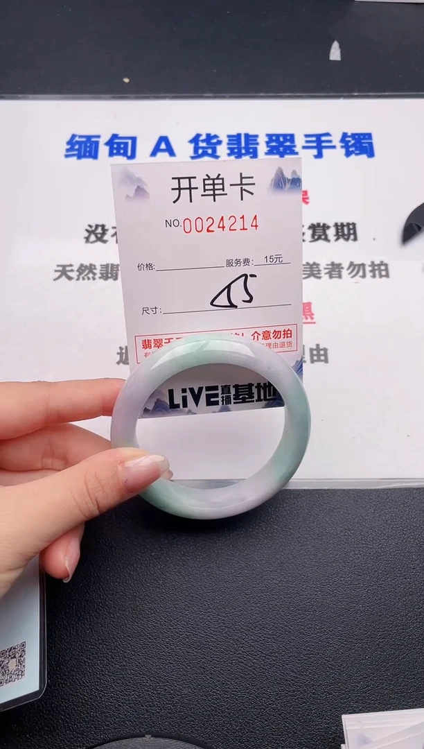未镶嵌手镯翡翠14