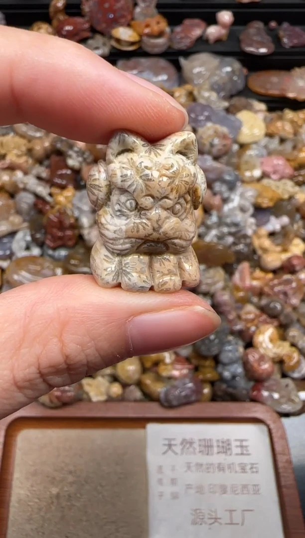 硅化珊瑚（珊瑚玉）未镶嵌颈饰677