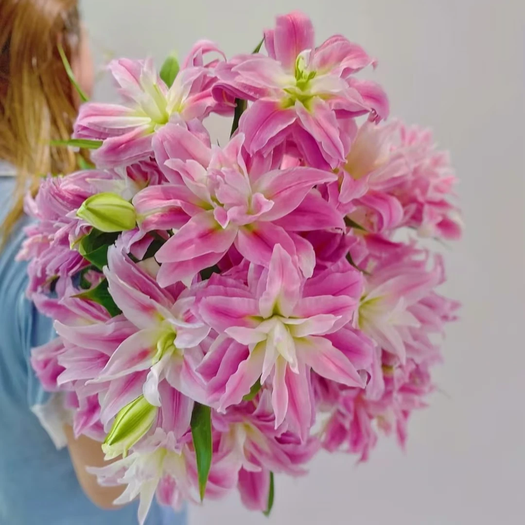 【重瓣多头百合红丝带 不低于10个花苞】鲜花任意两单顺丰包邮