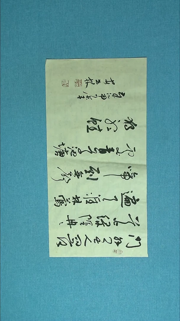 【闪购商品】书法223 甘肃安世林中书协69*34