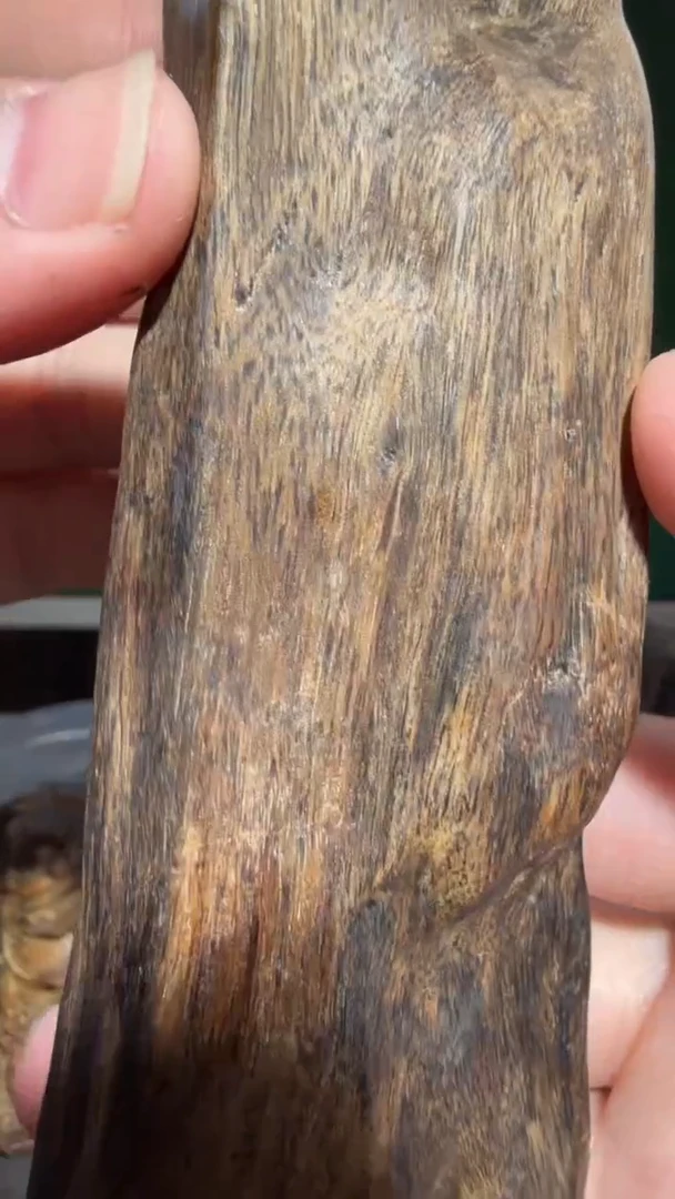 沉香吊坠芽庄多样性发一