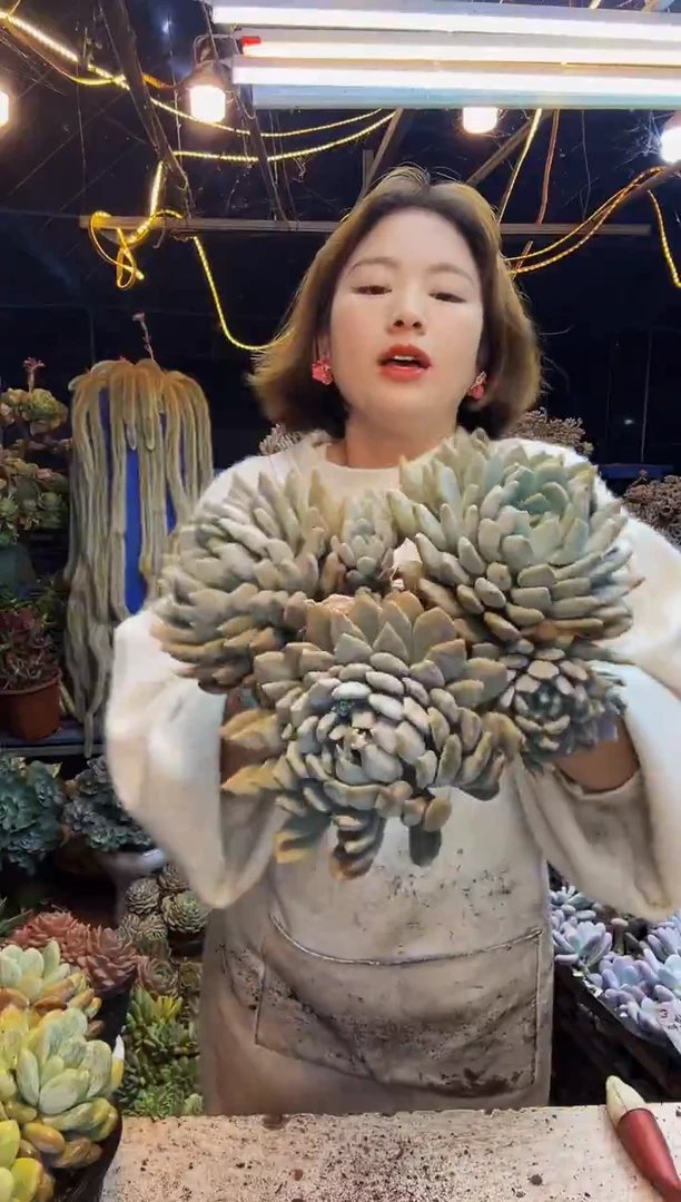 10号一物一拍默认微瑕不售后