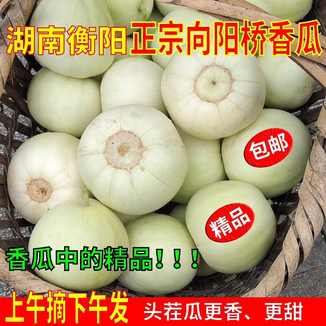 湖南省衡阳头茬现摘新鲜鲜甜脆小香瓜顺丰包邮5斤