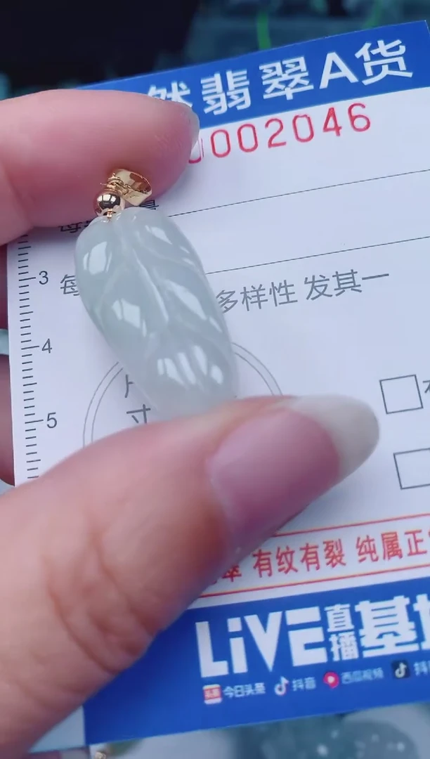 颈饰未镶嵌翡翠00002046