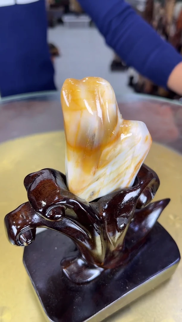 未镶嵌珠宝奇石硅化玉缅甸天然树化玉摆件