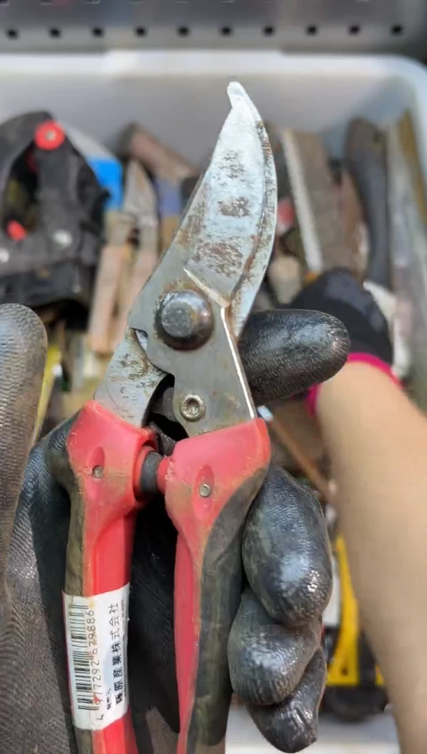 镁小*阿古工具工具工具