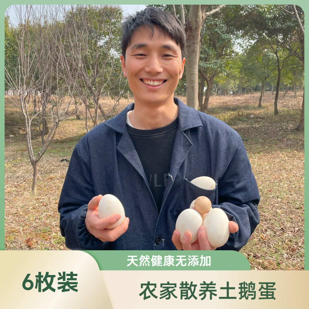 皖南散养鹅蛋1年以上老鹅下的蛋120g/枚农家鹅蛋6枚盒装