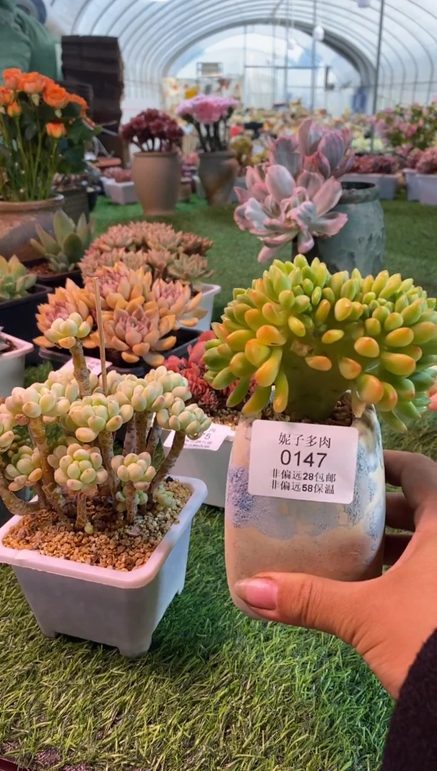 0147aa（满28包邮发货）