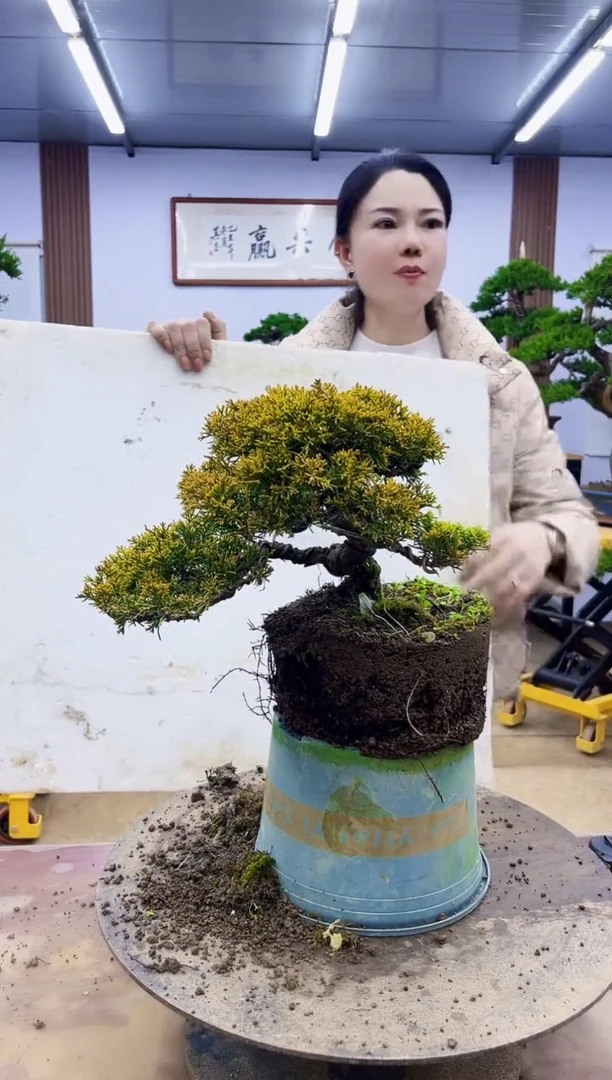 无花朵踏**河0000000000000000000000